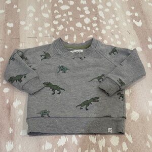 Sovereign Code Boys Dinosaur Sweatshirt Gray Size 18M
